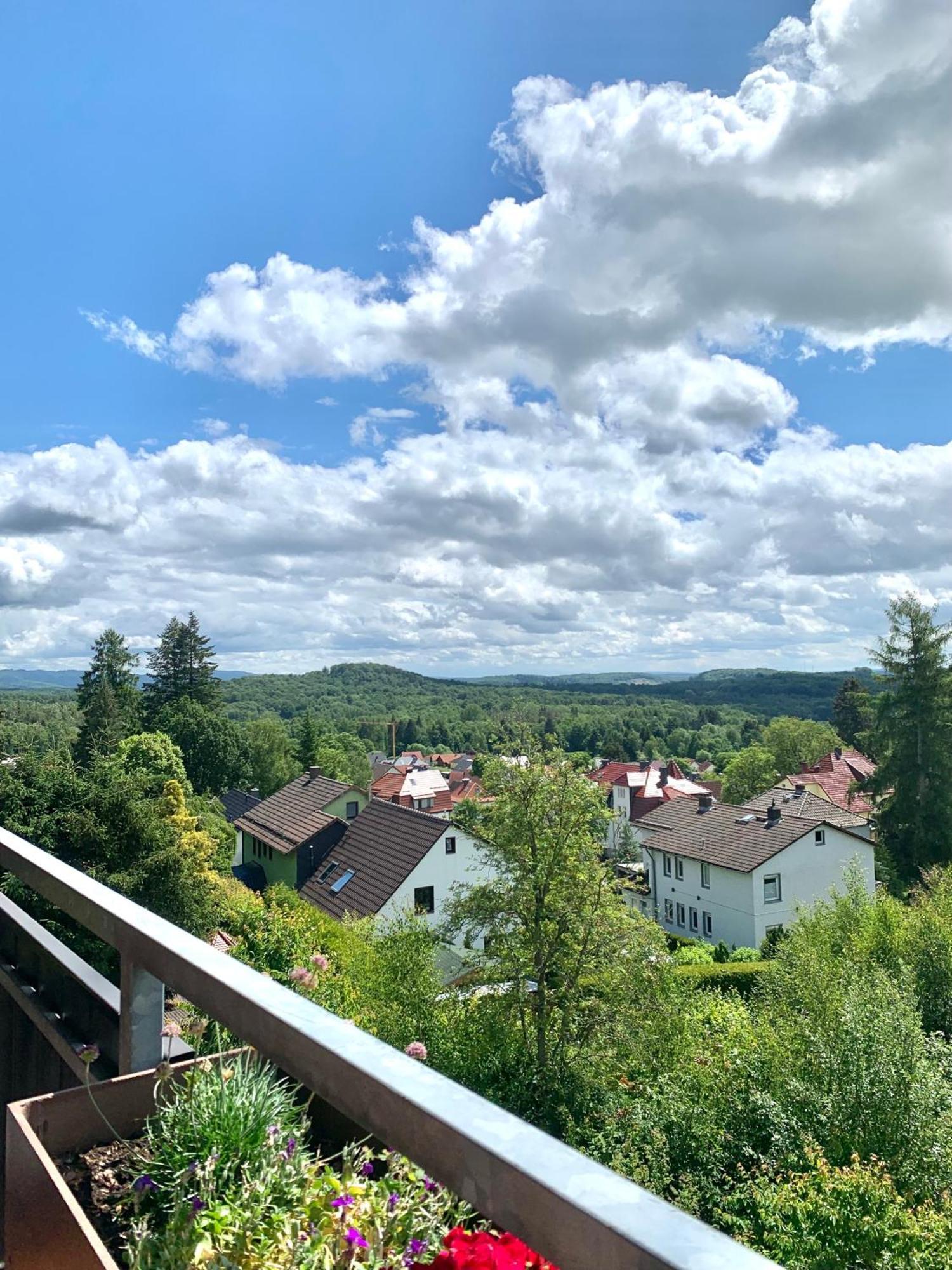 Apartamento Jagdschloesschen-Harz Bad Sachsa Exterior foto