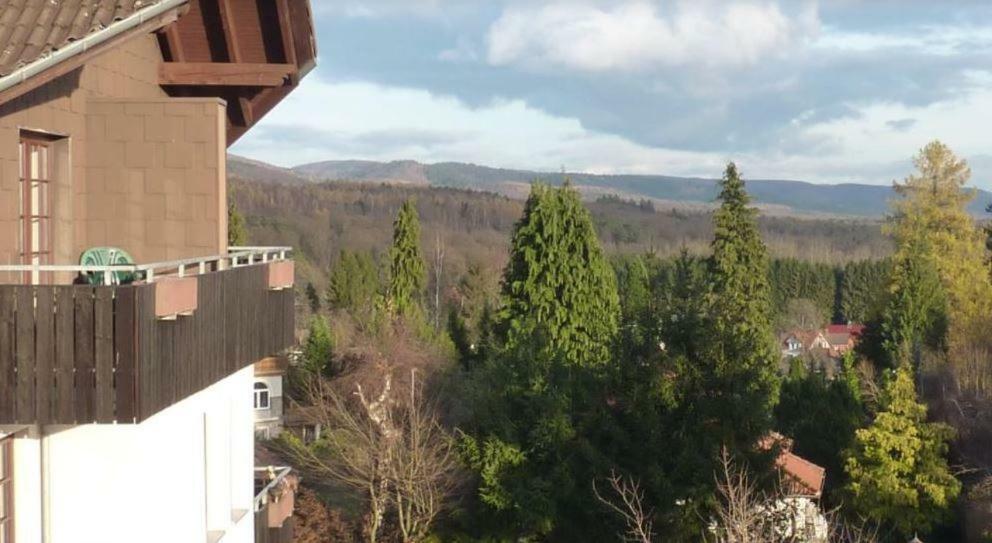 Apartamento Jagdschloesschen-Harz Bad Sachsa Exterior foto